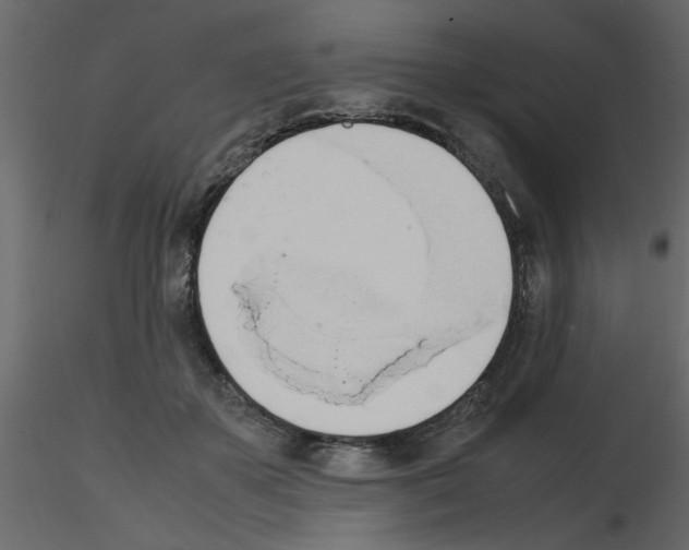 X0000115660507200912241401