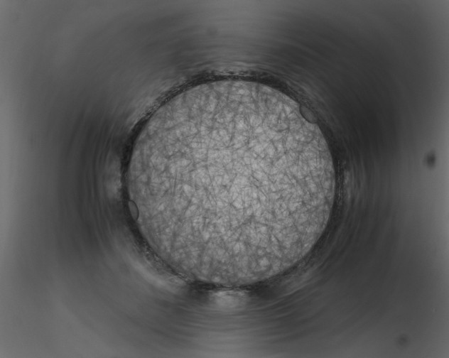 X0000115660508200912241401