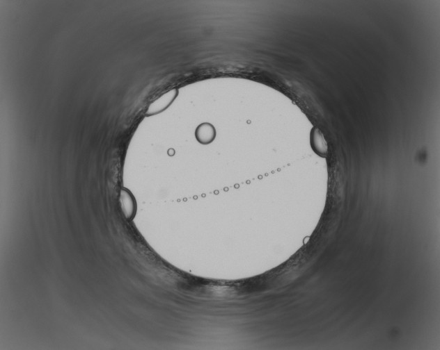 X0000115660509200912241401