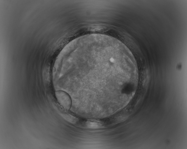 X0000115660510200912241401