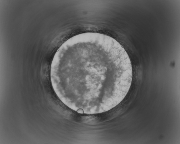 X0000115660511200912241401