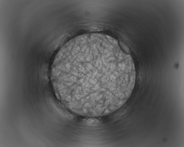 X0000115660512200912241401