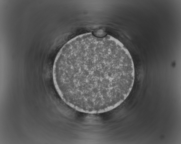 X0000115660515200912241401