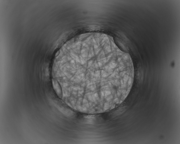 X0000115660516200912241401