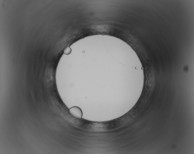 X0000115660518200912241401