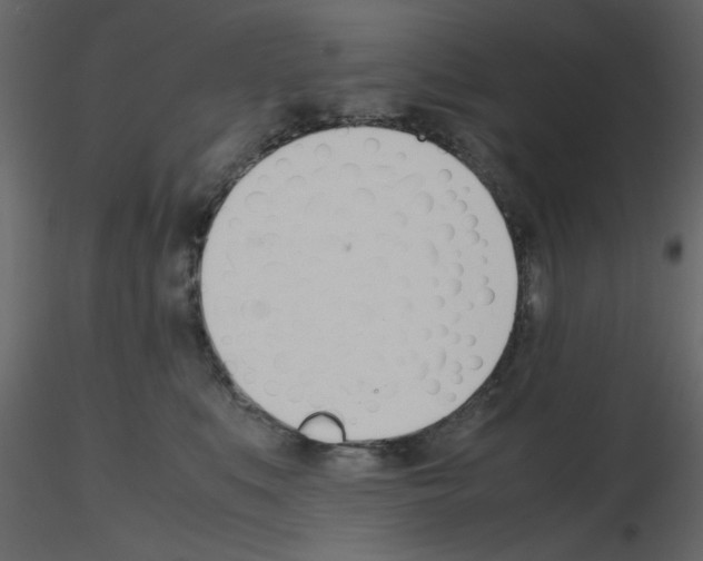 X0000115660519200912241401