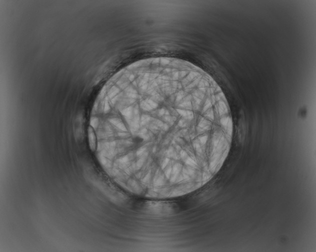 X0000115660520200912241401