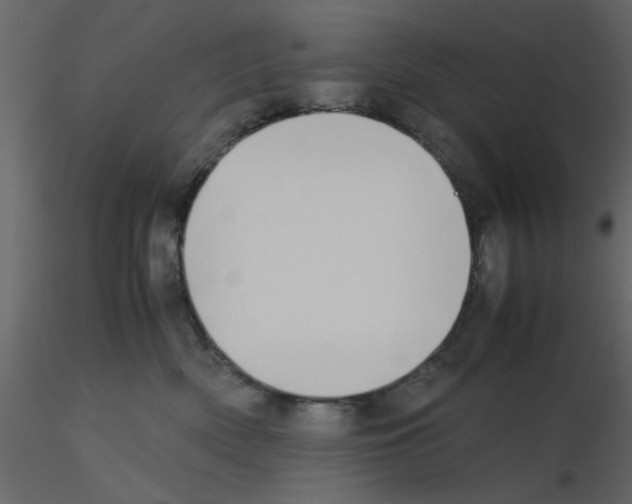 X0000115660522200912241401