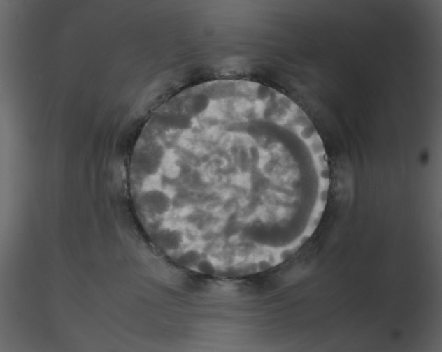 X0000115660523200912241401