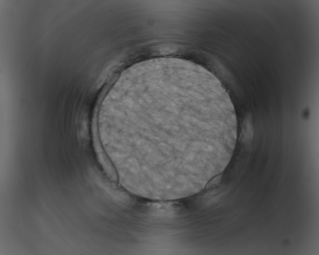 X0000115660524200912241401