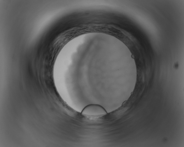 X0000115660526200912241401