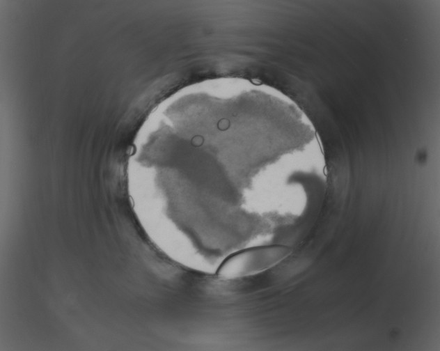 X0000115660527200912241401