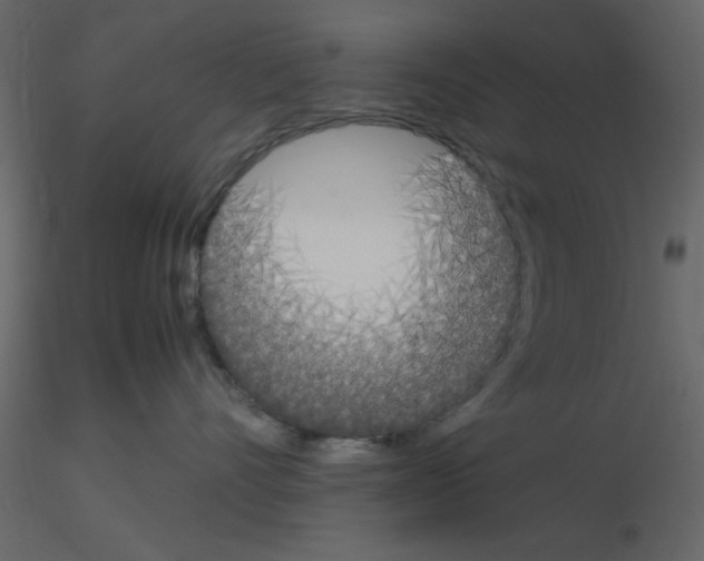 X0000115660528200912241401