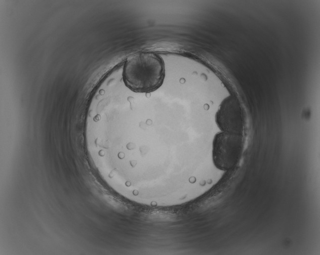 X0000115660529200912241401