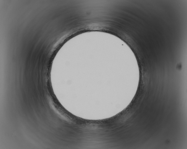 X0000115660530200912241401