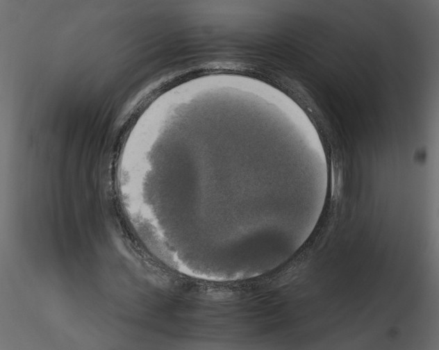 X0000115660531200912241401