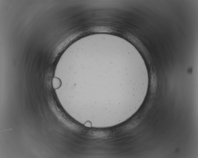 X0000115660533200912241401