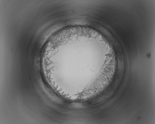 X0000115660534200912241401