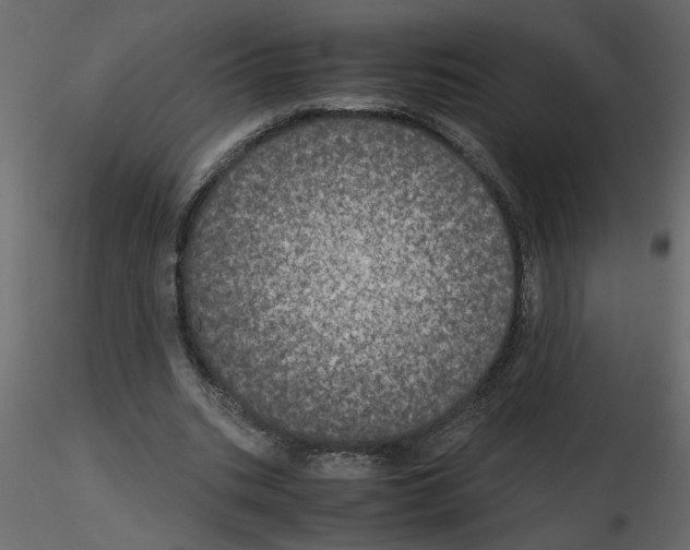 X0000115660535200912241401