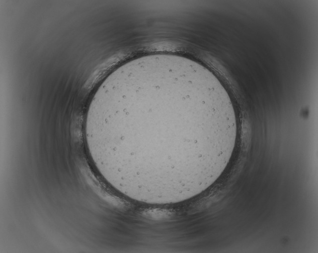 X0000115660537200912241401