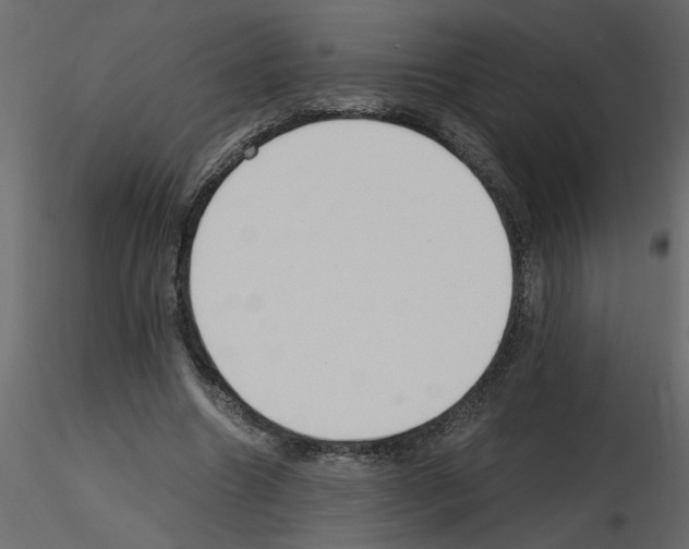 X0000115660538200912241401