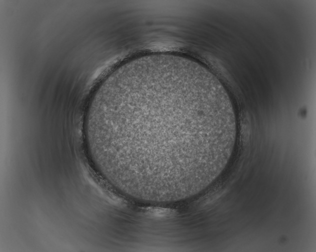 X0000115660539200912241401