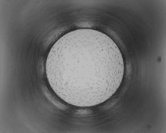 X0000115660541200912241401