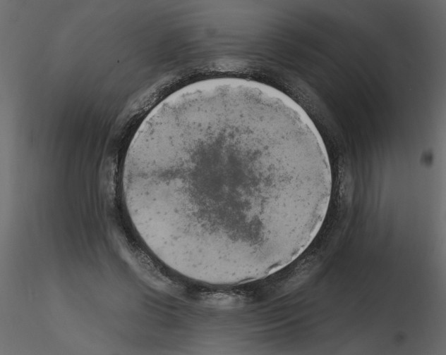 X0000115660542200912241401