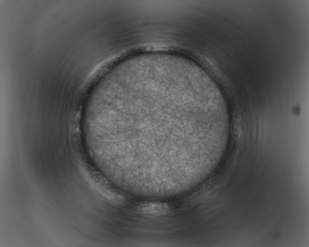 X0000115660543200912241401