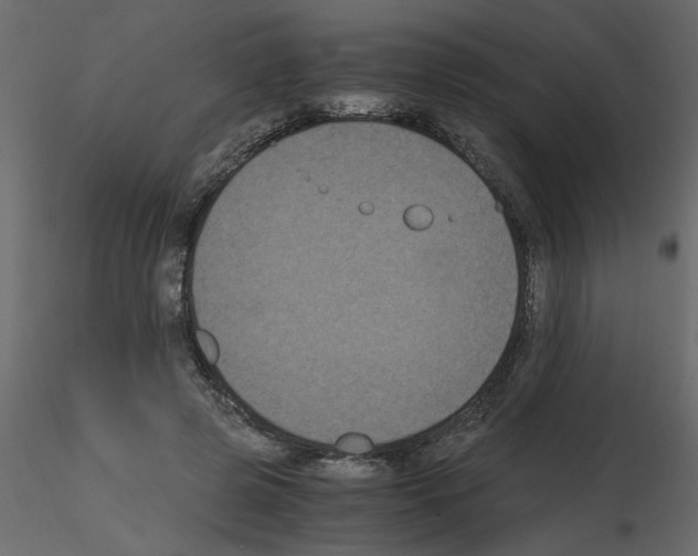 X0000115660545200912241401