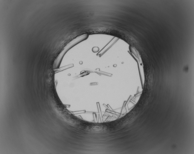 X0000115660546200912241401