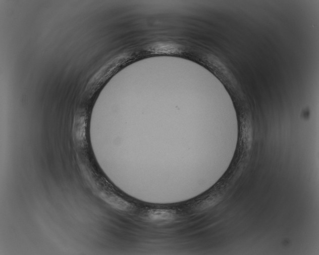 X0000115660549200912241401