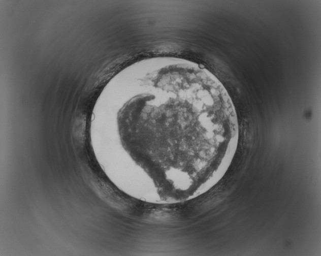 X0000115660550200912241401