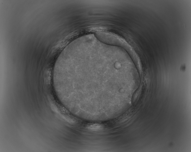 X0000115660551200912241401