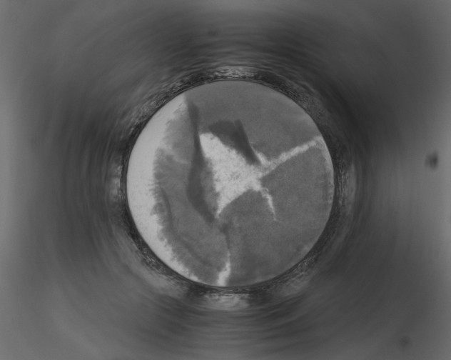 X0000115660553200912241401