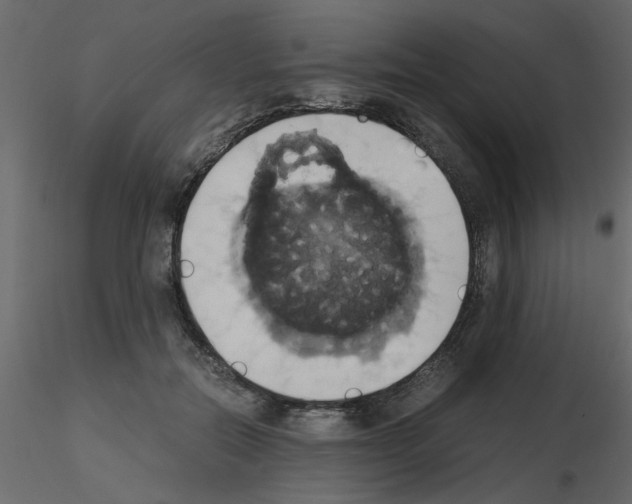 X0000115660554200912241401