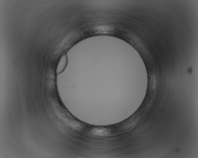 X0000115660557200912241401