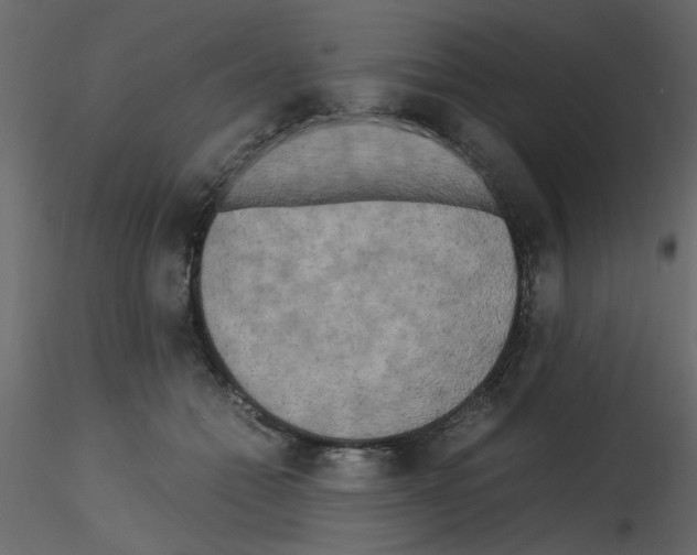 X0000115660558200912241401