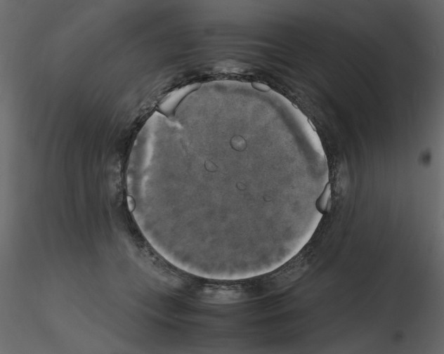 X0000115660559200912241401