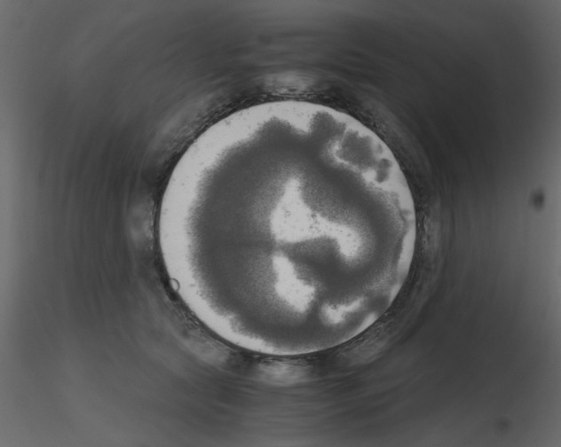 X0000115660561200912241401