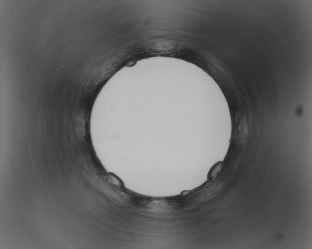 X0000115660562200912241401