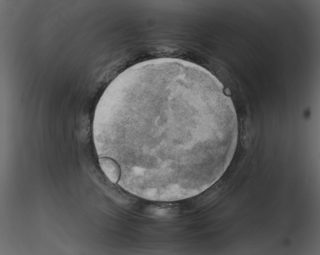 X0000115660563200912241401