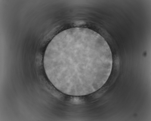 X0000115660565200912241401