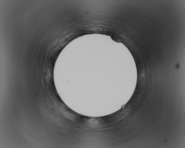 X0000115660566200912241401