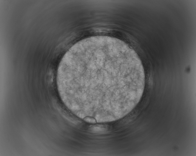 X0000115660567200912241401