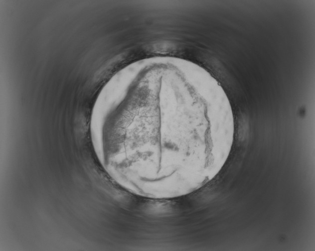 X0000115660569200912241401