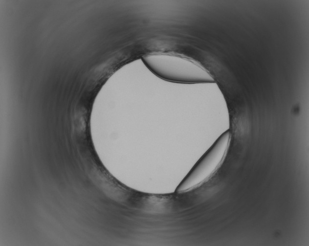 X0000115660570200912241401