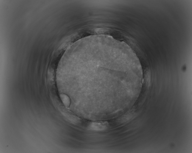 X0000115660571200912241401