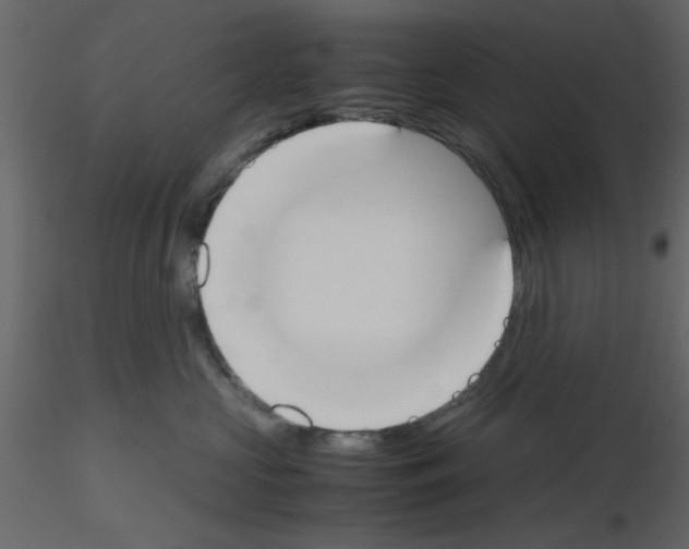 X0000115660573200912241401