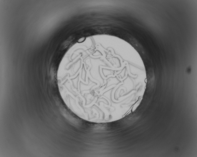 X0000115660574200912241401